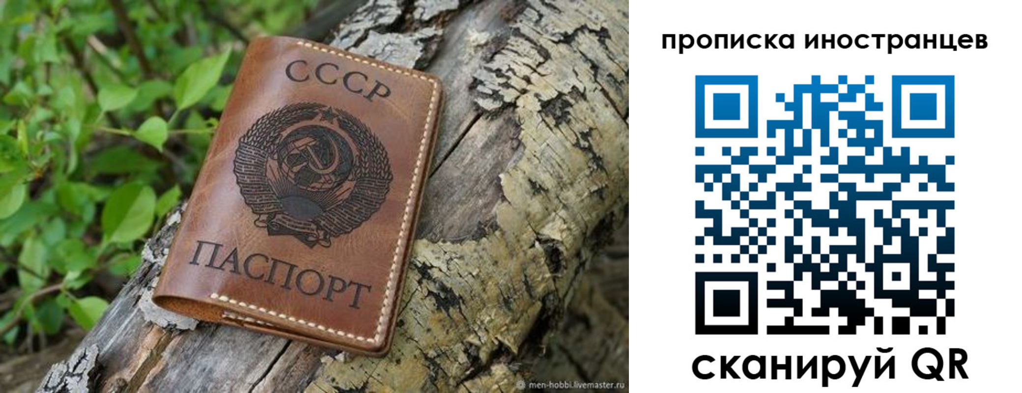 прописка поиск в Калининграде